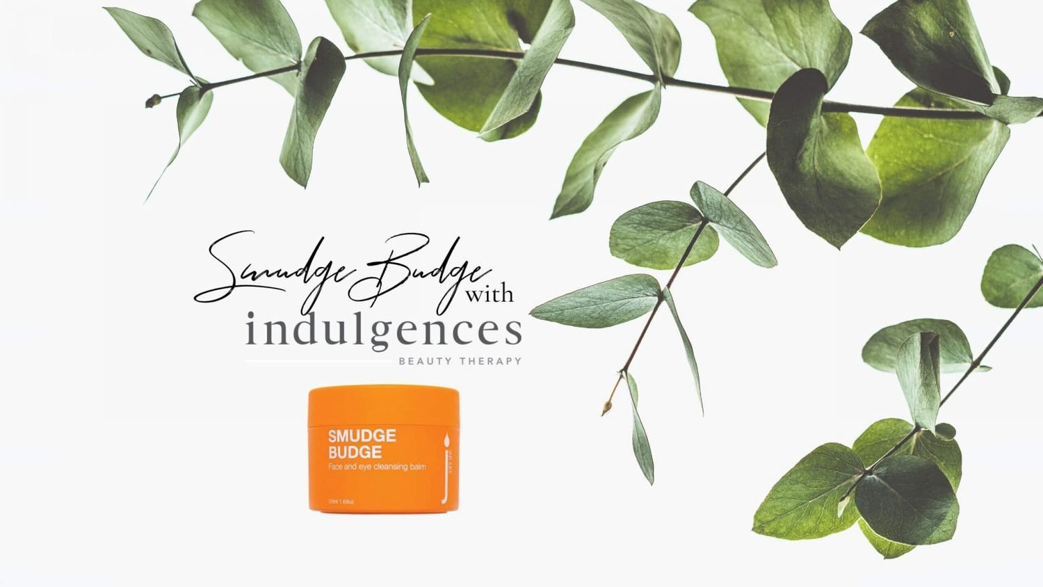 SMUDGE BUDGE REVIEW